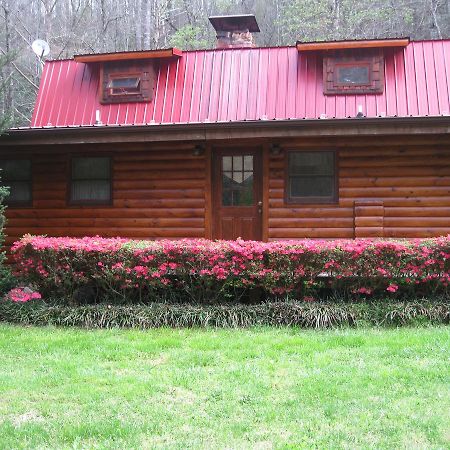 Buffalo Creek Bed And Breakfast Robbinsville Zewnętrze zdjęcie