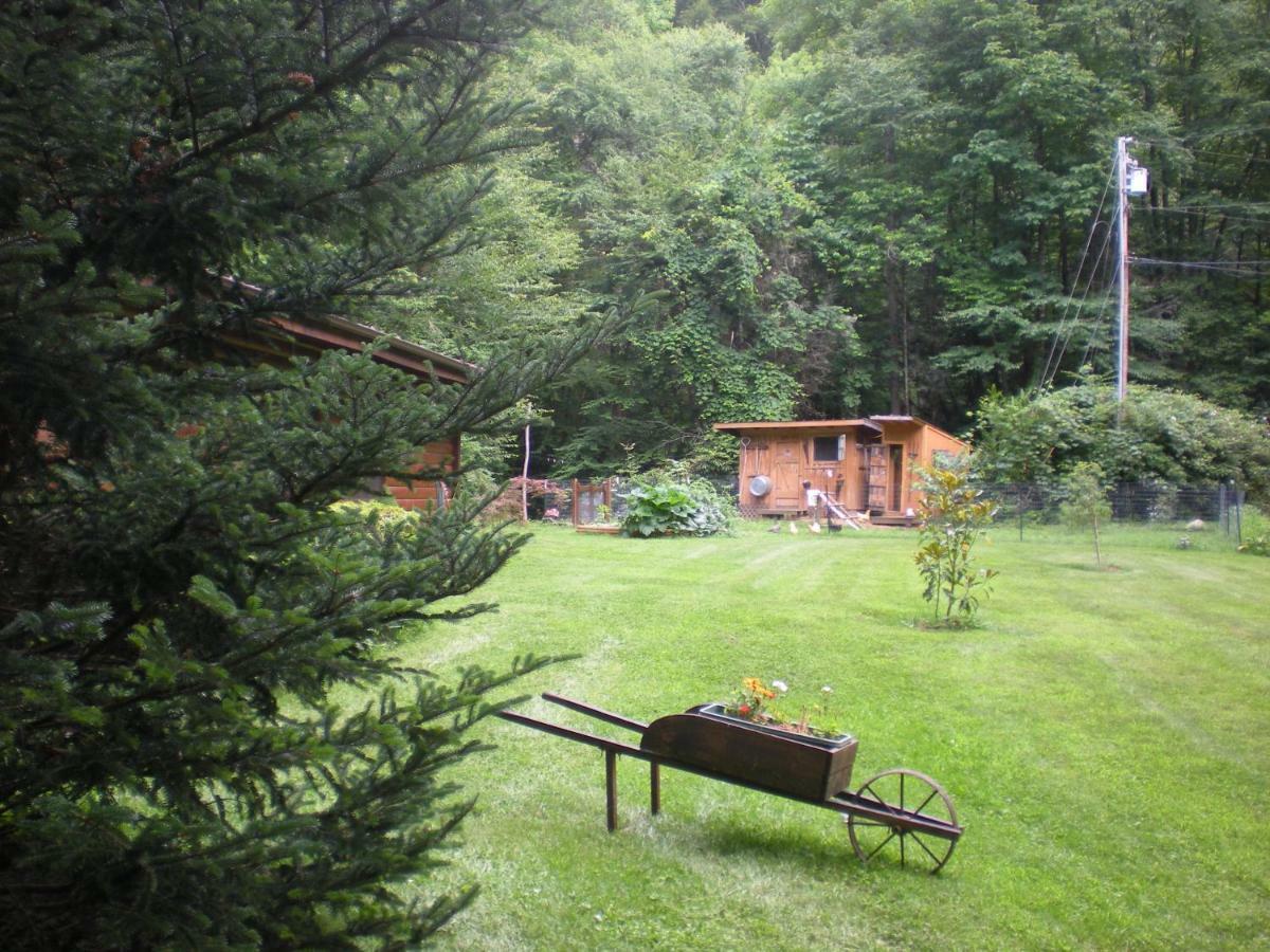 Buffalo Creek Bed And Breakfast Robbinsville Zewnętrze zdjęcie